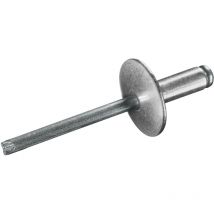 500 x Großkopf Nieten Aluminium / Stahl (ø x l) 4,0 x 10,0 mm mit Großkopf - Großkopf Blindnieten - Popnieten - standard - Goebel