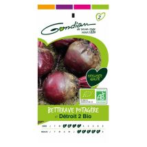 Betterave potagère bio Gondian – 500 g – Graines de potager – Période de plantation / semis