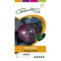 Chou Rouge Gondian – Graines de potager – Période de plantation / semis