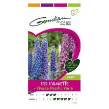 Delphinium Vivace Mix – Graines de fleurs – Exposition : plein soleil à mi-ombre, Période de plantation : printemps, Couleur de fleur : bleu, violet, 