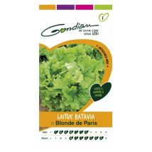 Laitue Batavia Blonde de Paris – Graines de potager – Période de plantation / semis