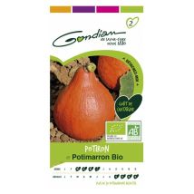 Potiron potimarron bio – Graines de potager – Période de plantation / semis – Gondian