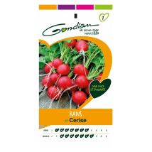 Radis Cerise – GONDIAN – 250 g – Période de plantation / semis