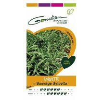 Roquette Sauvage Sylvetta – Graines de potager – Période de plantation / semis