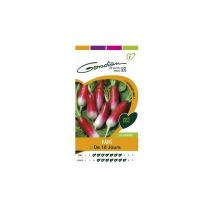 Radis de 18 Jours – Graines de potager – Période de plantation / semis