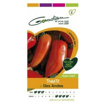 Tomate Cornue des Andes – Graines de potager – Période de plantation / semis – GONDIA
