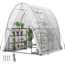 Gewächshaus, Tomatengewächshaus mit PE-Abdeckung & Metallrahmen, begehbares Foliengewächshaus mit Aufrollfenster & Aufrolltor, Treibhaus für Blumen &