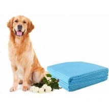 Tappetini Igienici per Cani,5 Strati Anti-perdita, Superficie ad Asciugatura Rapida, Tappetini Assorbenti per Addestramento di Animali Domestici