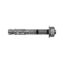 Rawlplug - Goujons d'ancrage r-xpt acier zingué M20x200 boite de 10 Rawl