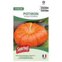 Graines de potiron rouge d'étampes