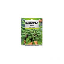 Saturnia - Graines aromatiques de sauge (1 gramme) Horticulture, horticulture, graines de jardin.