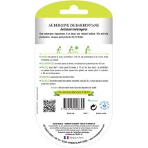 Auberginensamen von Barbentane bio Die Grünen Finger