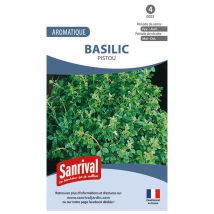 Graines de Basilic pour un délicieux Pistou