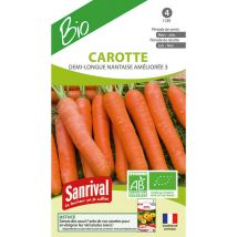 Graines Carottes Nantaises bio Demi Longues