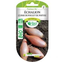 Graines échalion Cuisse de Poulet du Poitou bio Les Doigts Verts