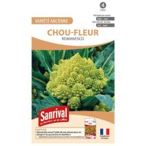 Graines de Chou Romanesco : Plantez et Cueillez Vos Propres Légumes