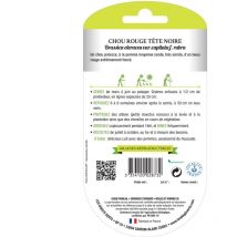 Saatgut von rotem Kohl mit schwarzem Kopf bio Die Grünen Finger