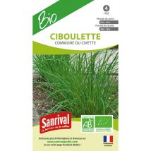 Graines ciboulette commune ab Bio