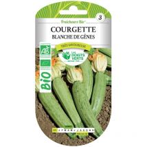 Saatgut von weißen Zucchini aus Genua bio Die Grünen Finger