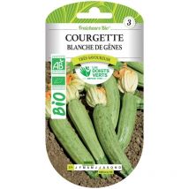 Graines courgette blanche de Gênes bio Les Doigts Verts