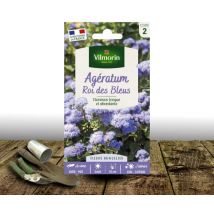 Graines d'Ageratum Roi des bleus