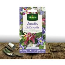 Graines d'Ancolie Etoile variée