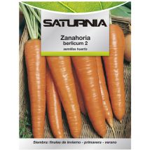 Semillas Huerto Zanahoria Berlicum (1.5 gramos)