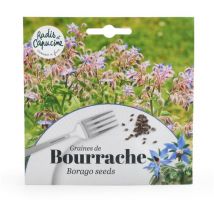Sachet graines fleurs comestibles - Bourrache