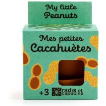 Kit plantation - Cacahuète - 8cm