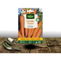 Graines de Carotte Touchon