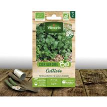 Graines de Coriandre BIO