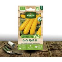 Graines de Courgette jaune Gold Rush bio