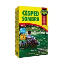 Fito - Semences de Gazon Ombre 1 Kg, Semences résistantes à l'ombre