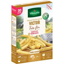 Haricot Nain Beurre Victor - 20 m
