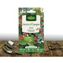 Graines de Haricot d'Espagne