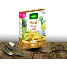 Graines de Haricot Nain Beurre Victor