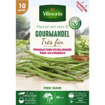 Haricot Nain Vert Gourmandel - 10 m