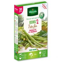 Haricot Nain Vert Oxinel 2 - 20 m