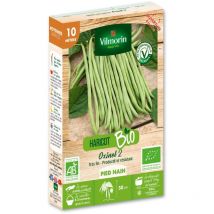 Haricot Nain Vert Oxinel 2 - bio - 10 m