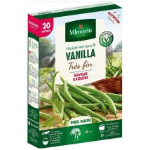 Vilmorin - Graines de Haricot vert sans fil vanilla - 20 mètres