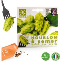 Sachet graines fleurs comestibles - Houblon