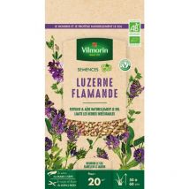 Vilmorin - Graines de Luzerne Flamande bio , boite de 60 grs