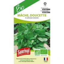 Graines de mâche ab Bio