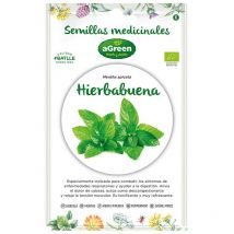 Graines De Menthe Poivrée Médicinale Eco 857005bolsh Agreen - agreen