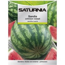 Semillas Huerto Sandia