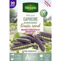 Pois Grimpant Capucine (Blauwshokker) - 20 m