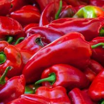 Graines de poivron doux d'Espagne