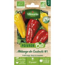 Poivron Mélange de Couleurs - bio