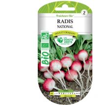 Bio-Nationale Radieschen Samen Die Grünen Finger