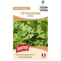 Graines de tetragone cornue